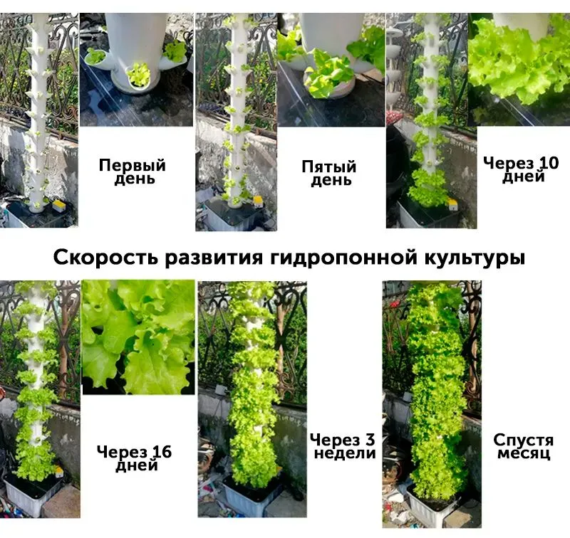 Конструктивные особенности вертикальной гидропоники